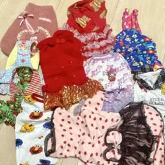 【犬服セット10点】