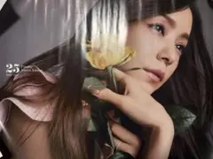 レア】安室奈美恵 ナイスワン 非売品 ポスター - メルカリ