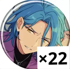 HiMERU あんスタ コレクション 缶バッジ Sep casual 22点