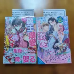 バッドエンド秒読みの悪役令嬢なので婚約破棄で逃げ切ろうとしたら…他１冊