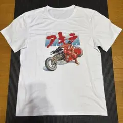 Item thumbnail for item bb66967c-772e-4641-a689-25bbf9474f2b