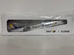 スカイチーム ボーイング787 飛行機 BOEING787 模型 skyteam - メルカリ