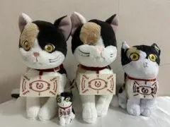 茶々丸出品 2025年最新】茶々丸の人気アイテム - メルカリ