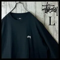 【希少】ステューシー ワンポイント刺繍 Tシャツ L 長袖 ロンT 黒 ブラック