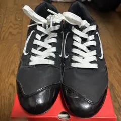 Item thumbnail for item a5b66050-5df9-458a-96b3-a632986666a6