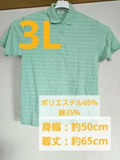 Samisa ポロシャツ 半袖 3L ミントグリーン ボーダー