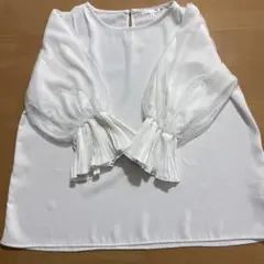 Item thumbnail for item 5d0e1e1a-37fb-4561-94c4-e4260633ddd0