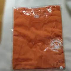 小沢健二 ビッグワッペンフェードT イエロー Lサイズ 黄色 Tシャツ 小沢健二 ビッグワッペンフェードT イエロー Lサイズ 黄色 Tシャツ