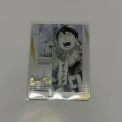 ハイキュー バボカ BREAK ゴミ捨て場の決戦 頂P 影山飛雄