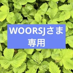 WOORSJさま専用