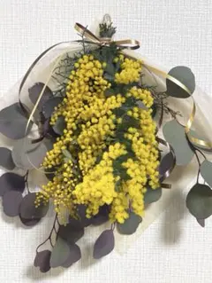 Item thumbnail for item 6c963319-4a00-4521-ac84-4f55eca80fd6