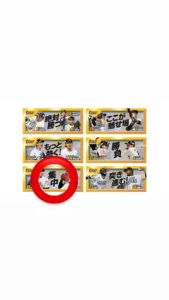 【新品未使用】福岡ソフトバンクホークス フェイスタオル