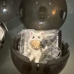 skzoo ガチャ アイエン