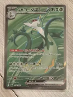 ジャローダ&ウミトリオ ポケモンカードセット　SR