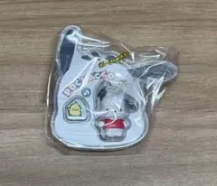 サンリオキャラクターズ　パッケージチャーム　ポチャッコ