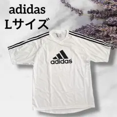 Item thumbnail for item 8de0f1fe-e95c-4b7f-b2d8-8889e5e5b9d7