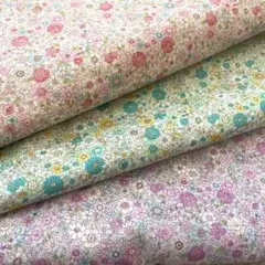 Item thumbnail for item 67cd1152-b157-4941-b0c5-85c0a7a026b1