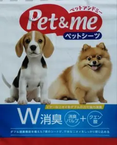 Item thumbnail for item 8bc29648-2f51-464b-b95a-f34f0c65045e