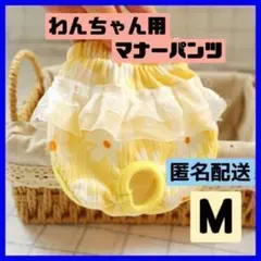 Item thumbnail for item 78d2bcd5-4e43-4da2-af8d-6b78253dfd8c