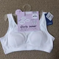 Item thumbnail for item 302254d3-d52c-49a2-95e1-5ae590d831d9