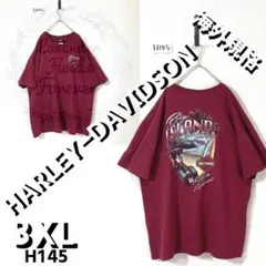 ハーレーダビッドソンTシャツH145△両面プリントHARLEY3XLアメリカ古着