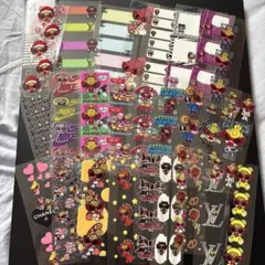 ○*様 ヒスミニ　ペンラセット