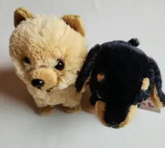 REGALO ダックスフンド ぬいぐるみ - メルカリ