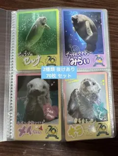 2026年最新】鳥羽水族館キラちゃんの人気アイテム - メルカリ