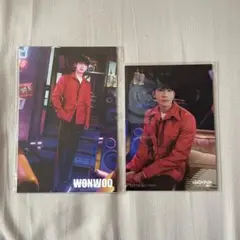 ウォヌ MUSEUM ポストカードセット