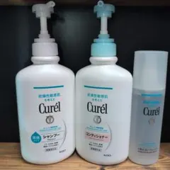 Item thumbnail for item 53e76e5c-2db9-486b-93d4-a9ec63cb6e23