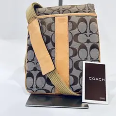 【極美品】 COACH ショルダーバッグ クロスボディ ポシェット シグネチャー