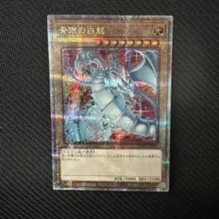 ブルーアイズホワイトドラゴン　絵違い　クオシク　25th