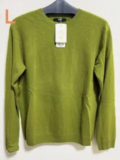 Item thumbnail for item 808b6d04-0596-49f9-80ee-f8889e6653c3