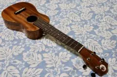 Item thumbnail for item 0b76852c-3f47-4a5e-a570-e3d6e50d9006