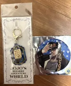 チ*ン様 ジョジョワールド3 空条承太郎 アイコンキーホルダー＆缶バッジセット