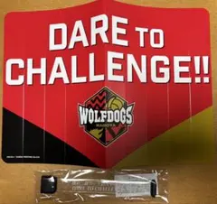 Item thumbnail for item 39906662-e2af-4f09-ac21-dca71b6a57f5