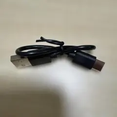 USB Type-C to USB Type-A 充電ケーブル