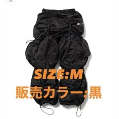 Item thumbnail for item ca8c2c56-aa46-4510-b3a8-57e346865a94