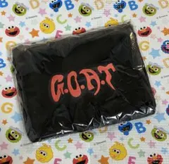 Item thumbnail for item 3c055e13-e9b4-4b33-a62a-4ff4754f820c