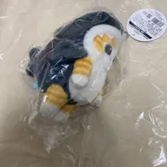 モフサンド mofusand ぬいぐるみ サメにゃん 15センチ