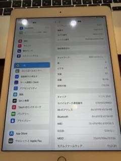 iPad Air2 16GB A1567ゴールド