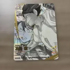 ハイキュー バボカ 頂P 及川徹