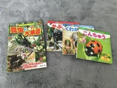 2026年最新】昆虫 標本 販売の人気アイテム - メルカリ
