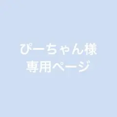 ぴーちゃん様 専用ページ