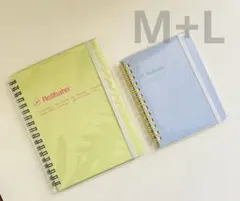 Item thumbnail for item 5d4f6ac2-4e07-48e7-a762-ec63f49e0790