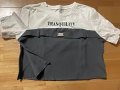 DaZY レディースコットンクロップドTシャツ　半袖　ホワイト/グレー