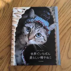 世界でいちばん愛らしい帽子ねこ