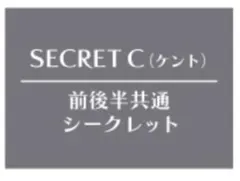 AMNESIA オトガ ランチョン A3ポスター シークレット A シン - メルカリ