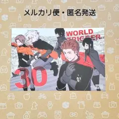 ワールドトリガー イラストカード 30巻 アニメイト 特典 非売品 匿名発送