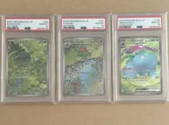 フシギダネ フシギソウ フシギバナ AR SR PSA10 151 鑑定品